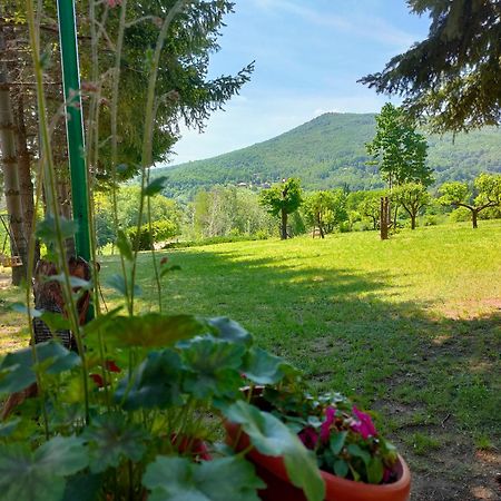 Vila Jezerski Raj Borsko Jezero Luaran gambar